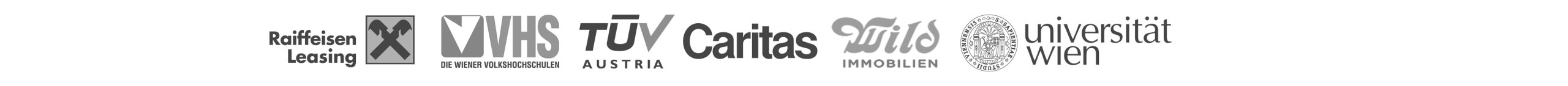 Logo Raiffeisen Leasing, VHS Wien, TÜV Austria, Caritas, Wild Immobilien, Universität Wien